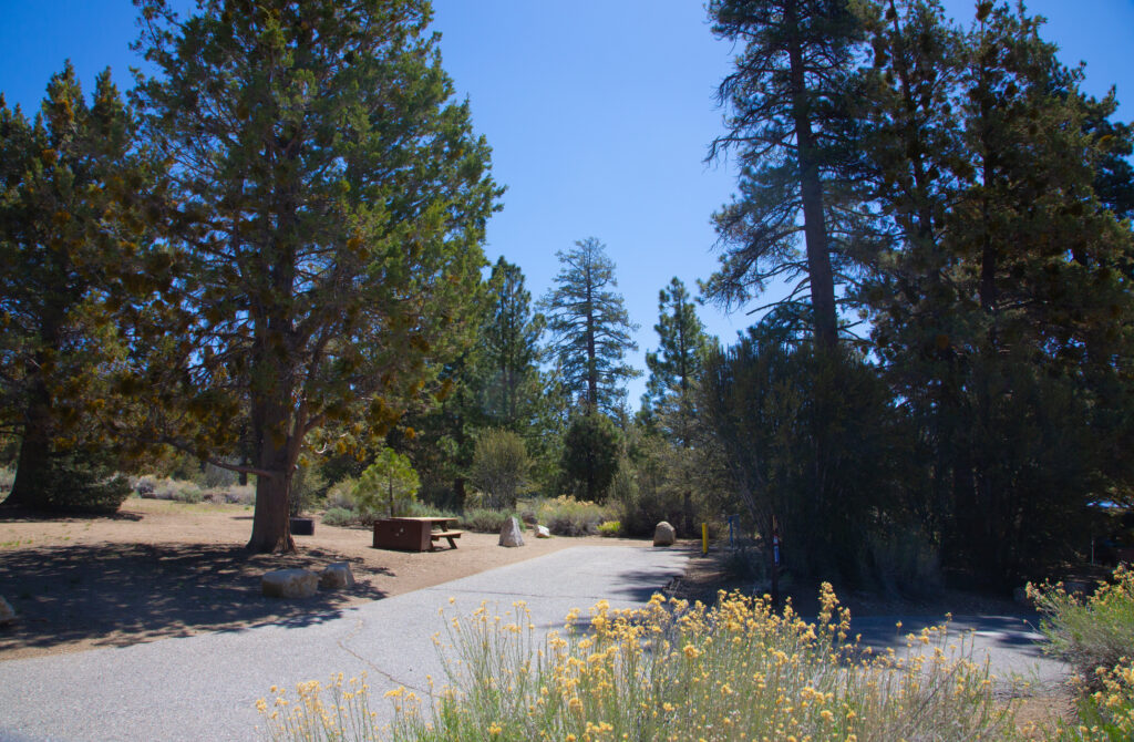 4-Year-Old Boy With the 'Biggest Heart' Drowns While Vacationing at a Campground With Parents