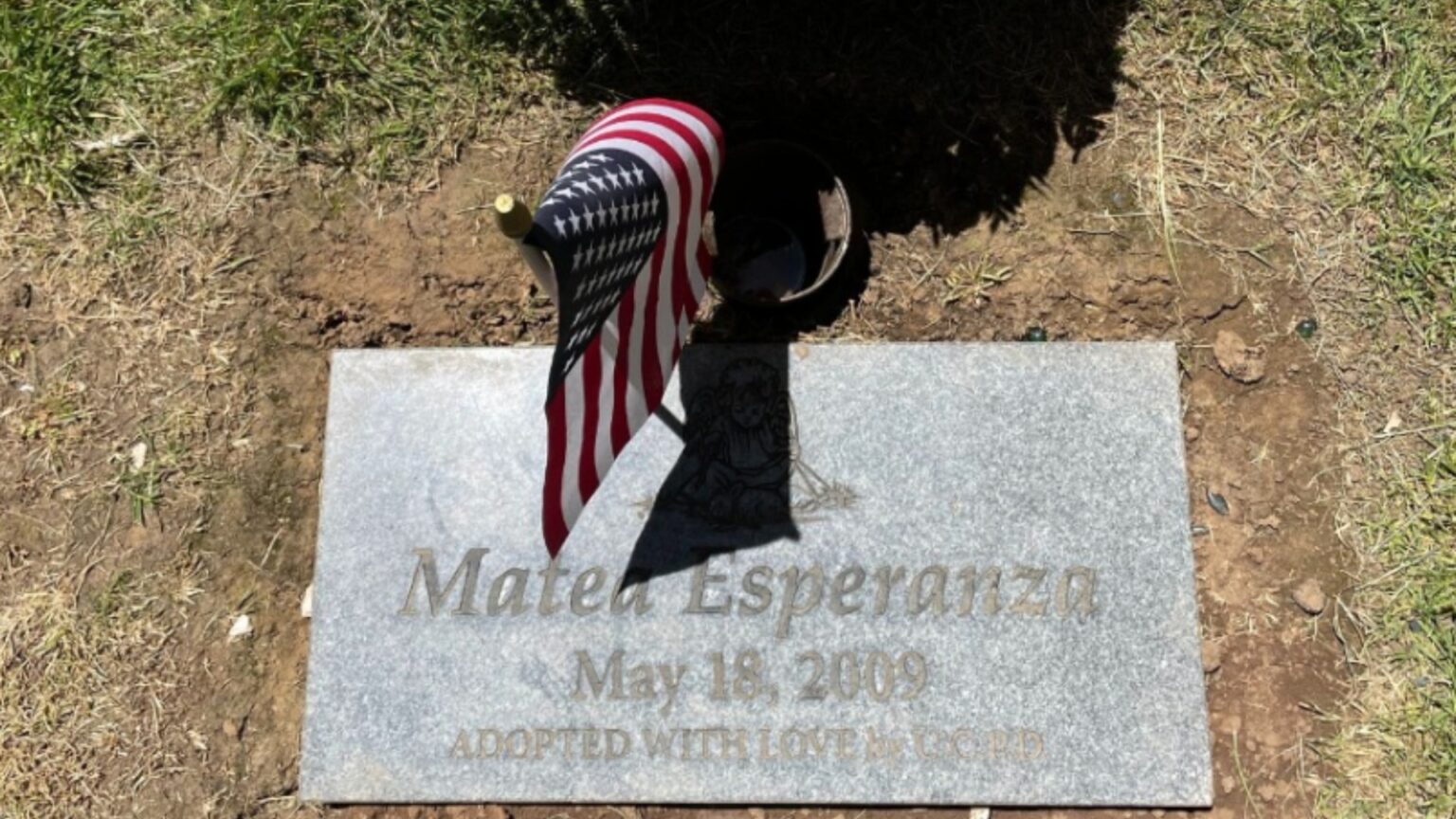 Mom Arrested for Leaving Newborn in Dumpster 16 Years Ago