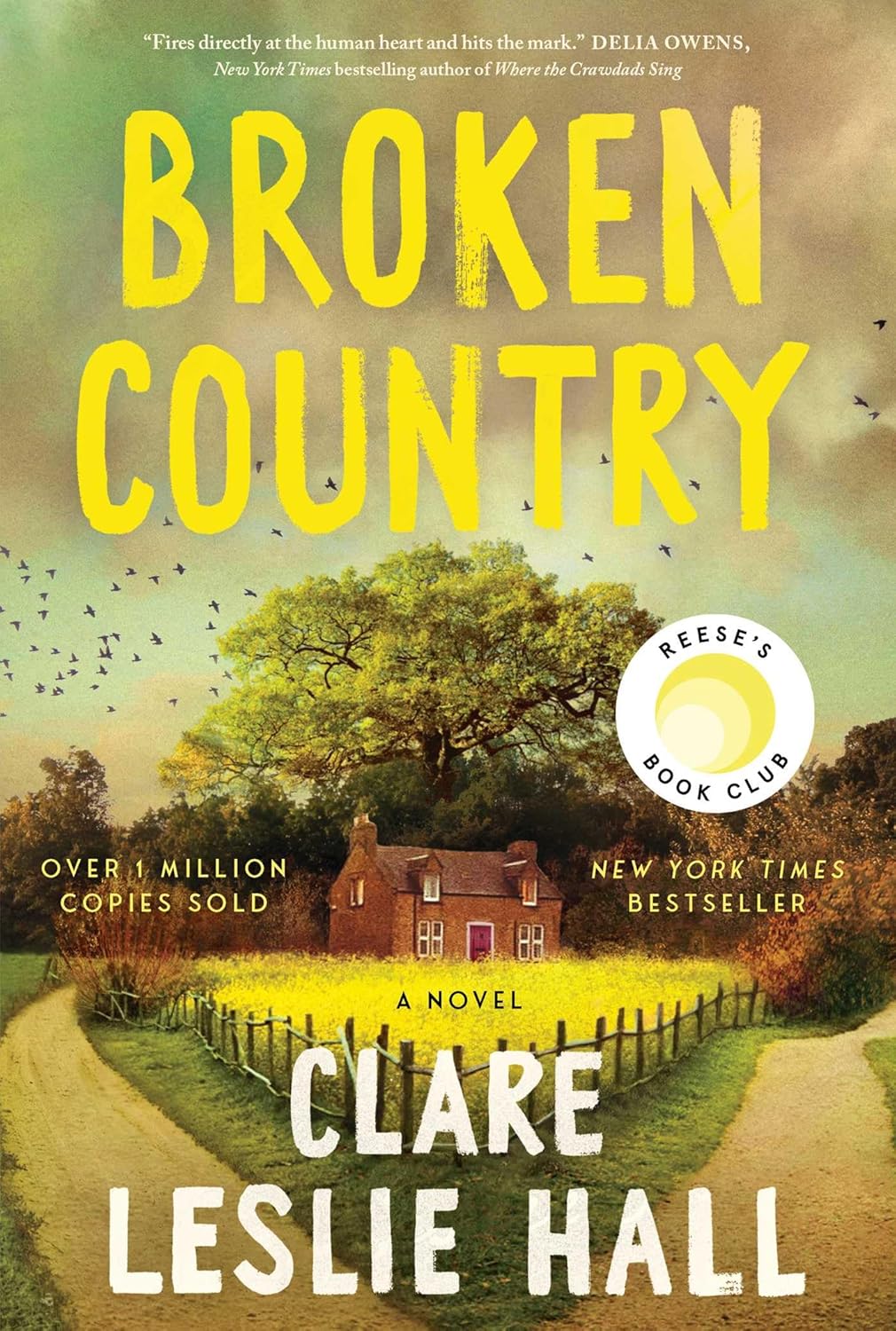 Broken Country Broken Country