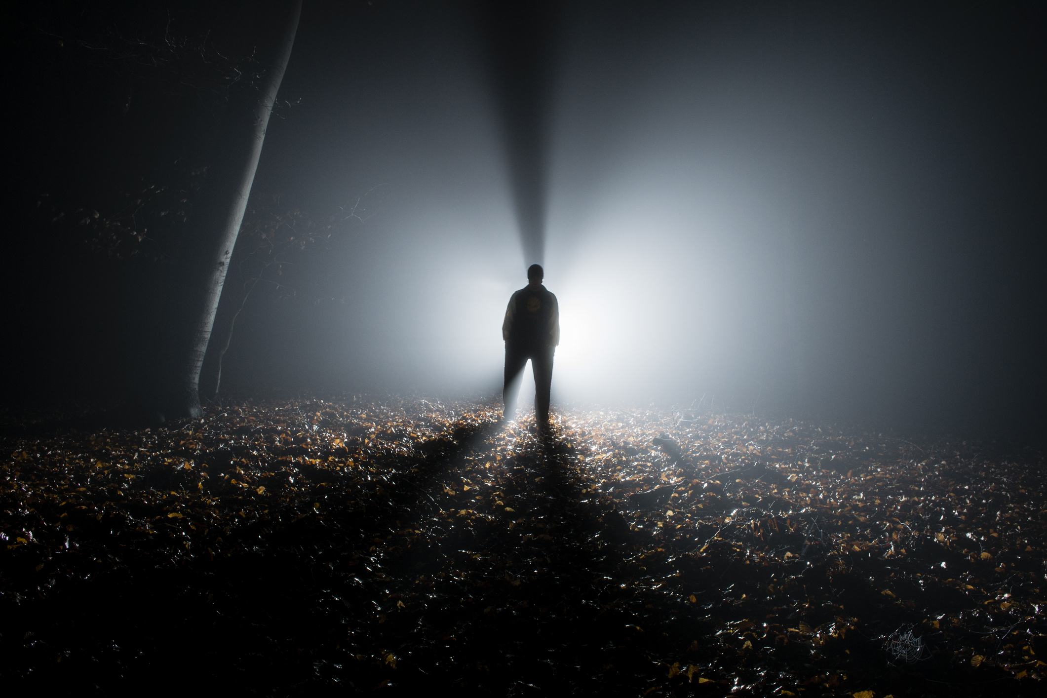 Silhouette of a tall man in the forest