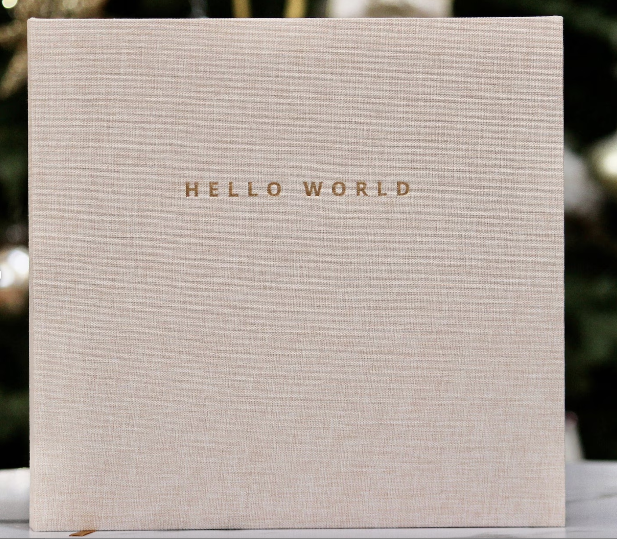 Screenshot 2025-11-20 at 12.38.15 PM