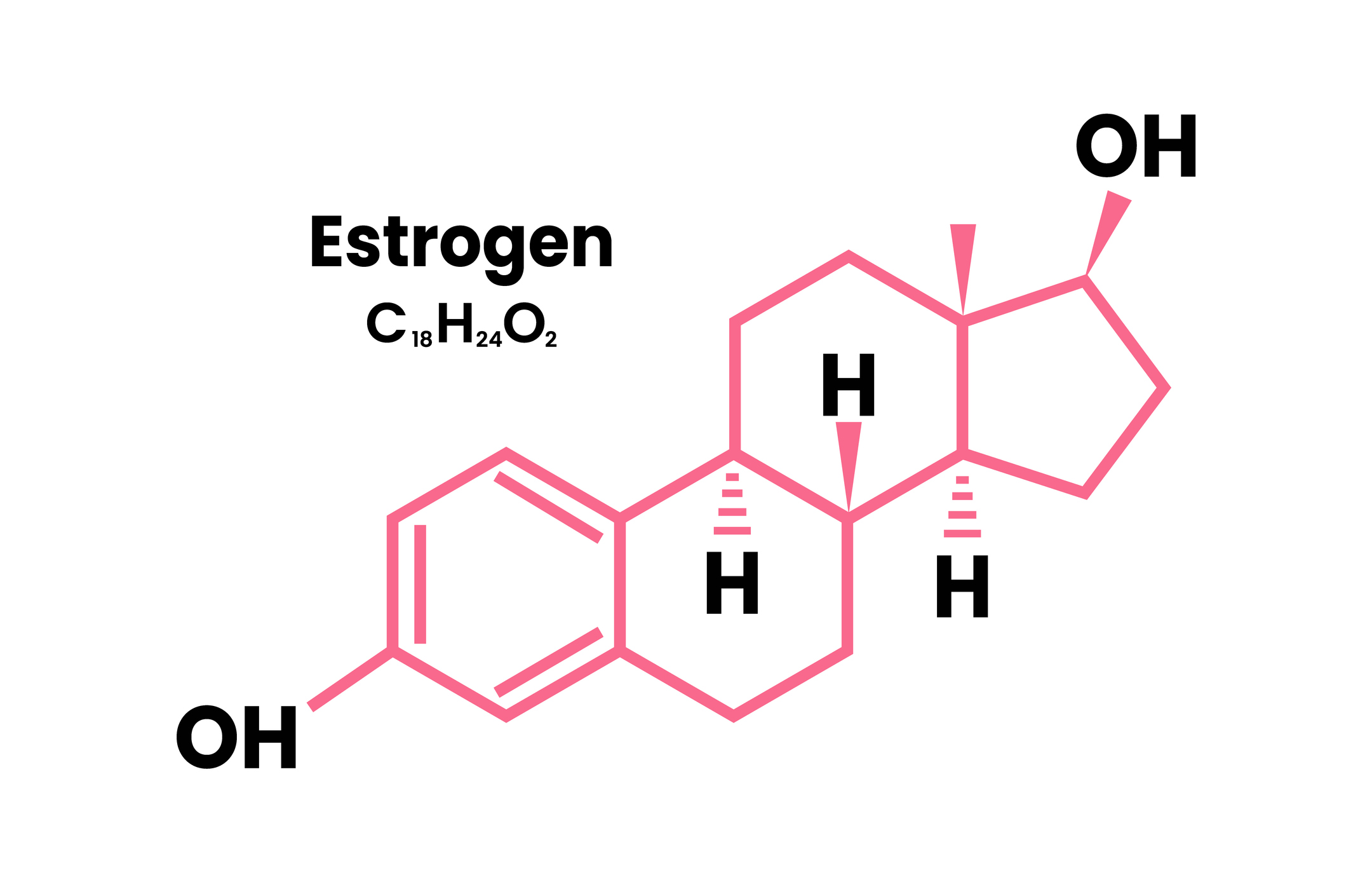 Estrogen. Estrogen Chemical Formula, Icon Symbol, Vector Illustration