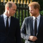 Prince Harry and Prince William