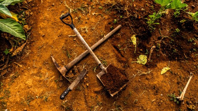 A high angle photo of some gardening tools in dirt with some plants nearby