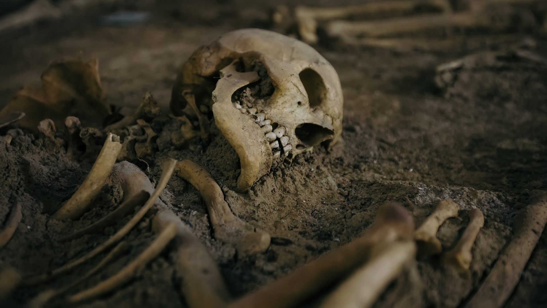 Skeleton in the ground