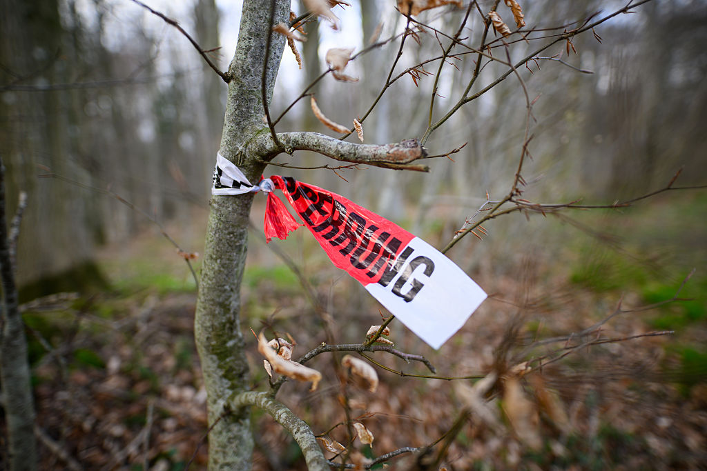 05 April 2026, Schleswig-Holstein, Flensburg: Remnants of a police cordon can be seen along a forest path in a wooded area south-east of Flensburg. Three people died in an accident on Easter Sunday, including a mother and her baby. A tree around 30 meters high fell on a group in the municipality of Mittelangeln during strong gusts of wind, according to police reports. Four people were trapped under the tree. Photo: Daniel Reinhardt/dpa (Photo by