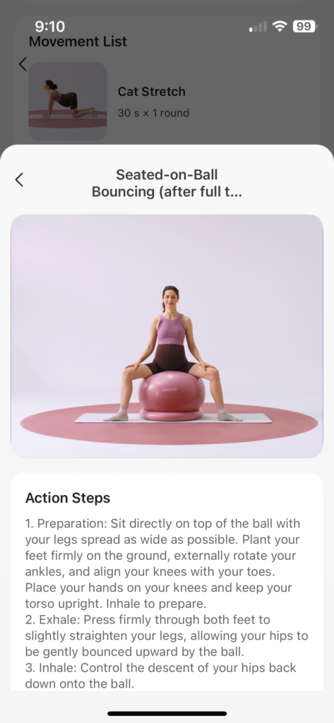 Momcozy BirthEase ball inside the app