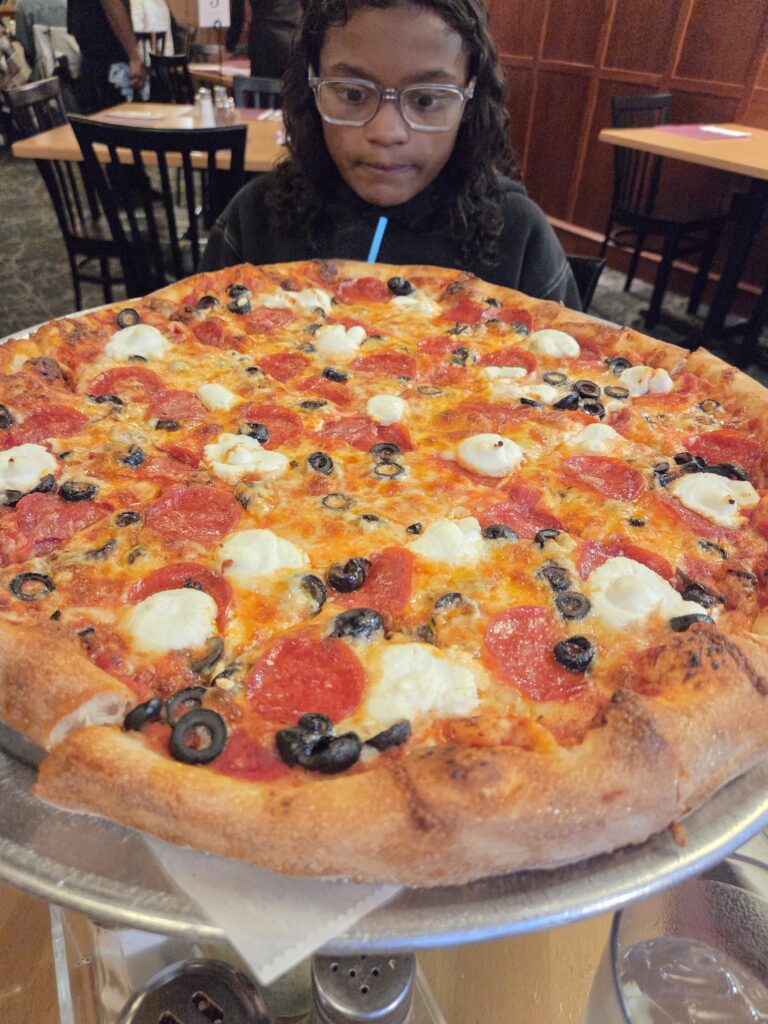 red rose pizzeria springfield
