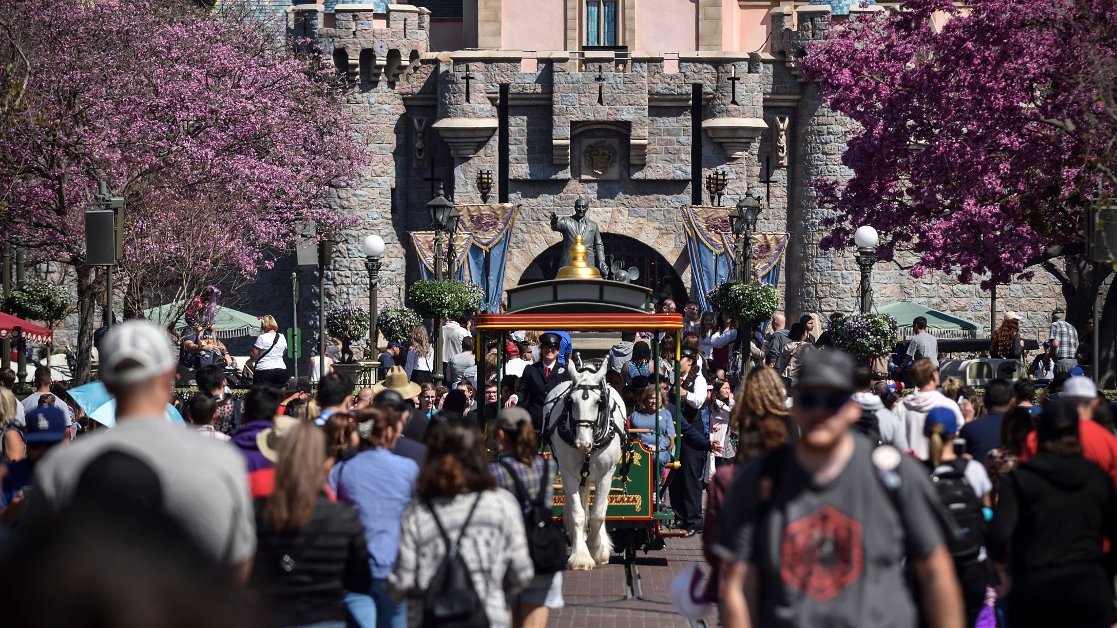 Brother, a Shire draft horse, heads south on Main Street U.S.A. at Disneyland