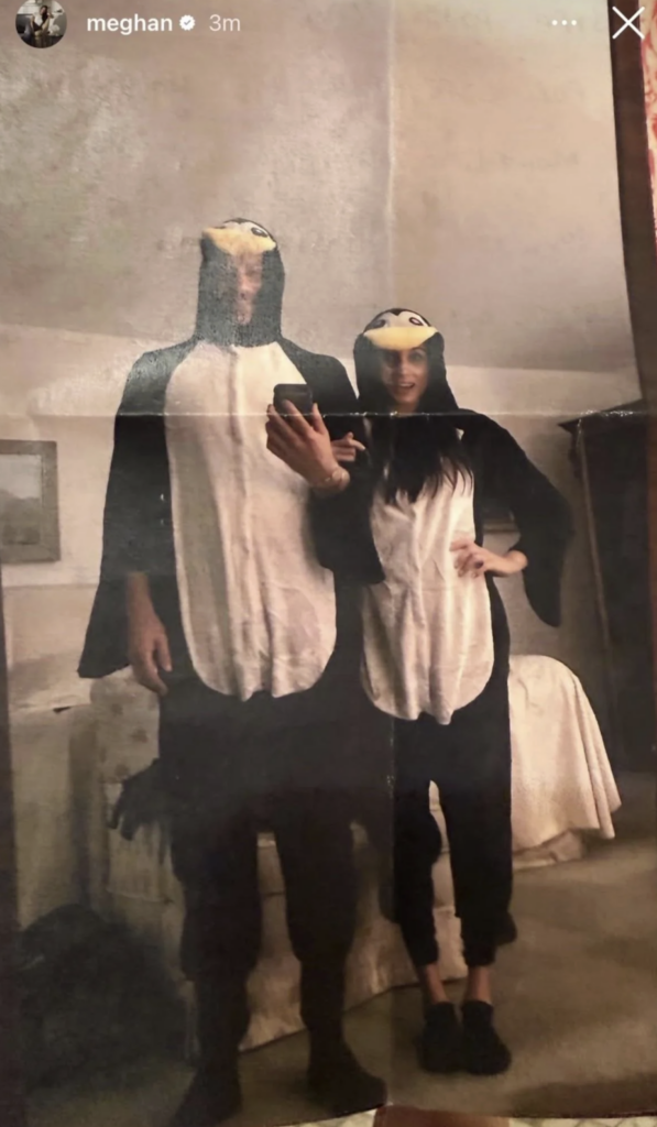 Prince Harry Meghan Markle penguin onesies