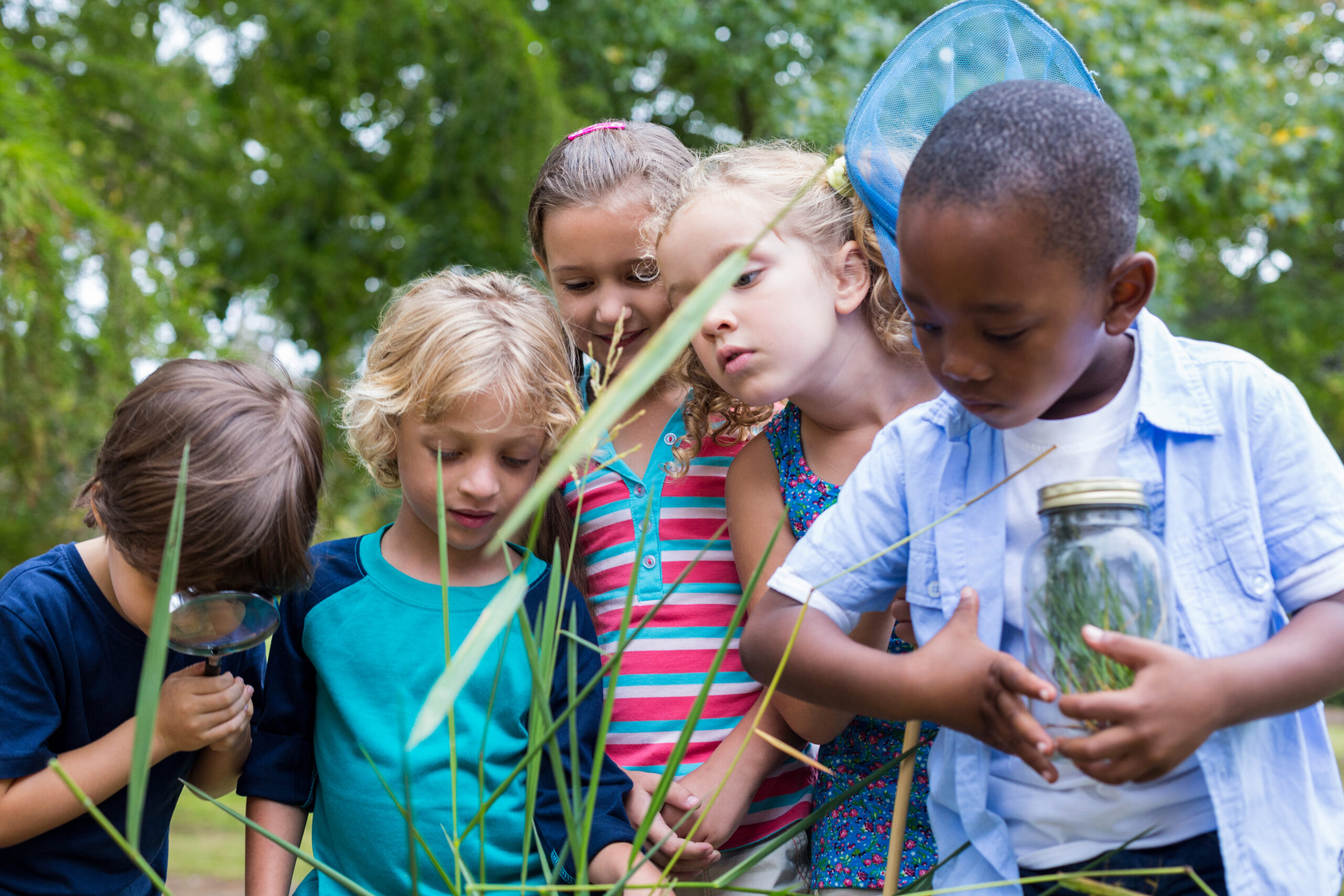 summer bridge activity