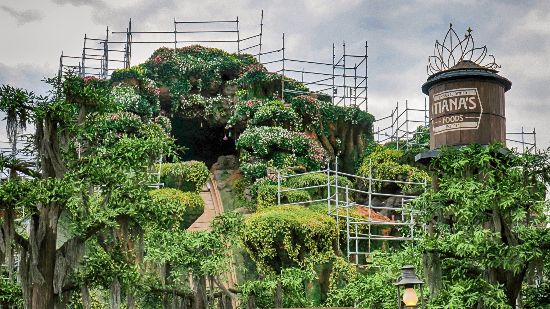 Tiana's Bayou Adventure