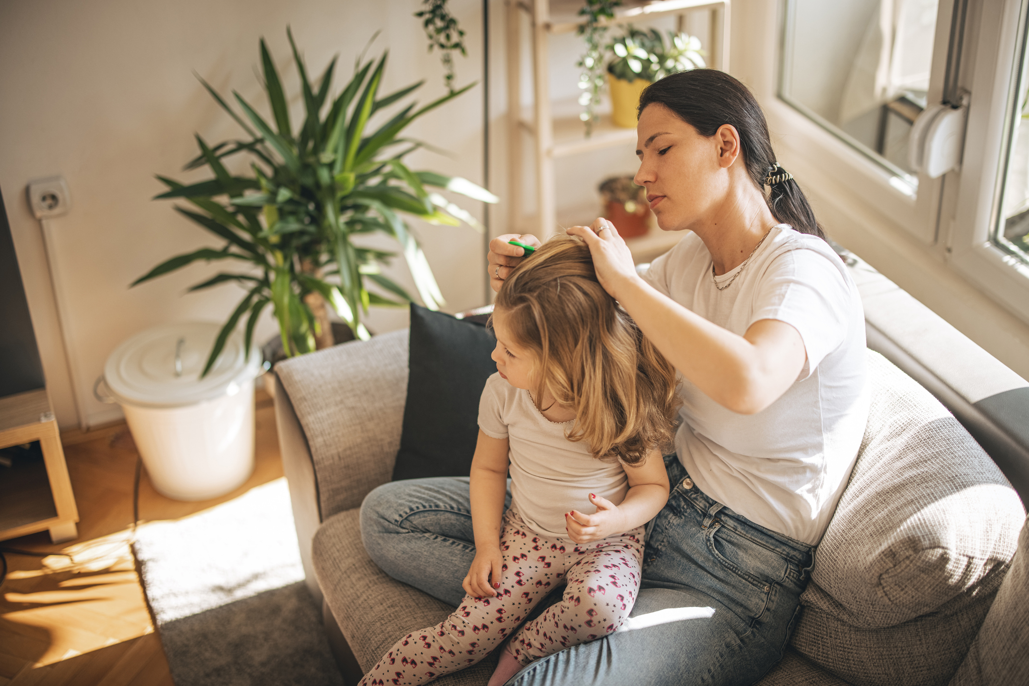 lice removal