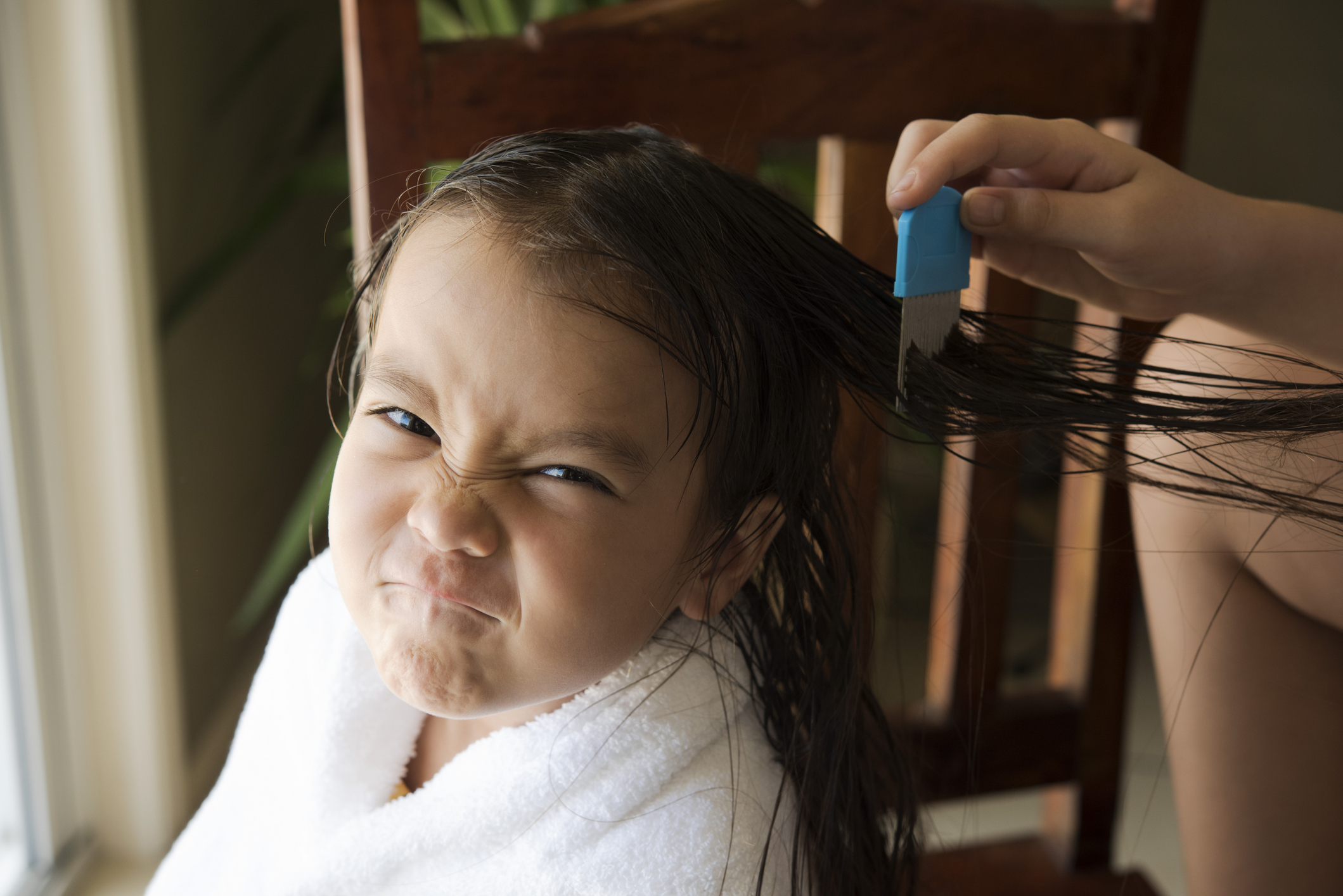 lice removal