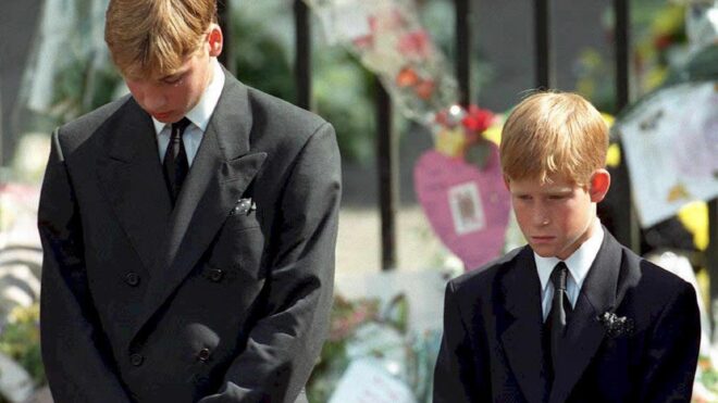 Prince Harry, Prince William