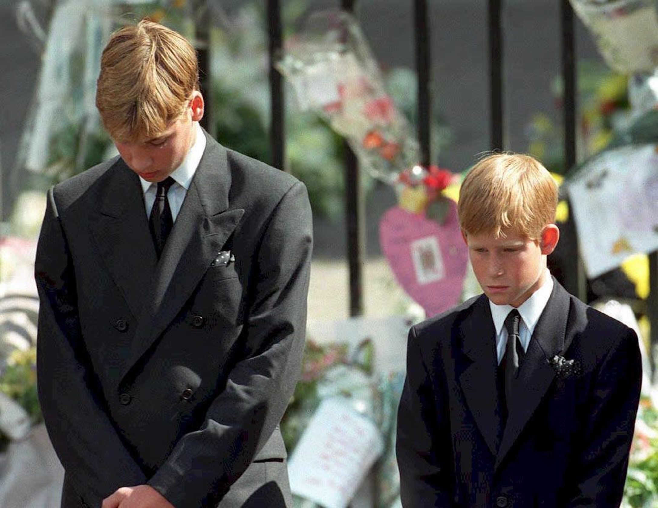 Prince Harry, Prince William