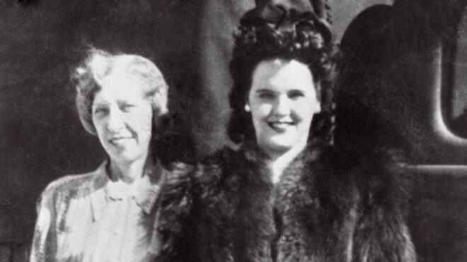 Black Dahlia