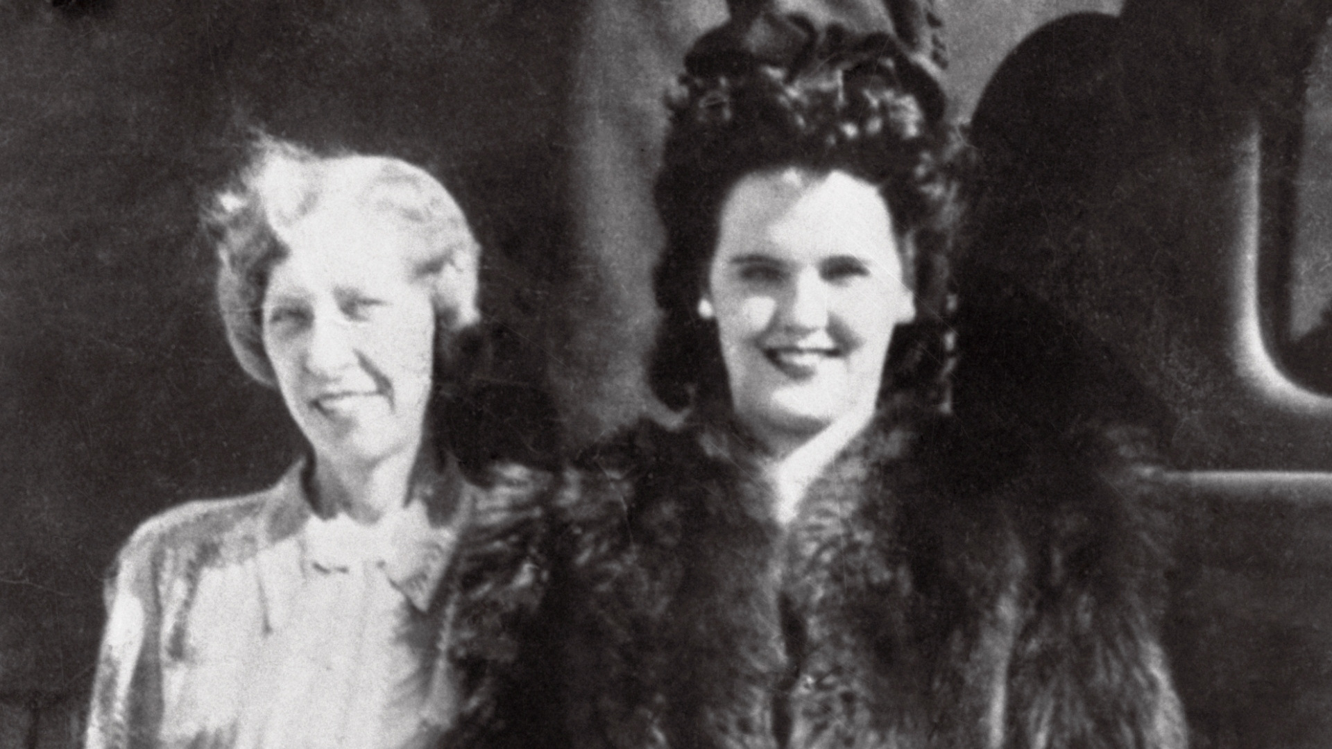 Black Dahlia
