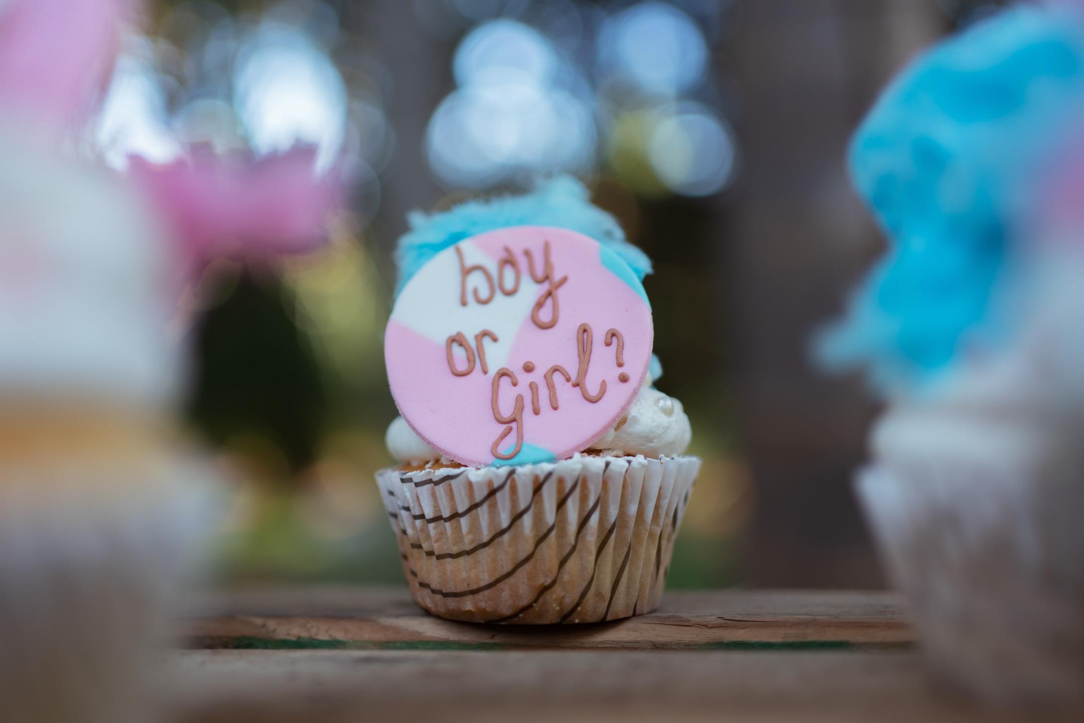 gender reveal cupcake