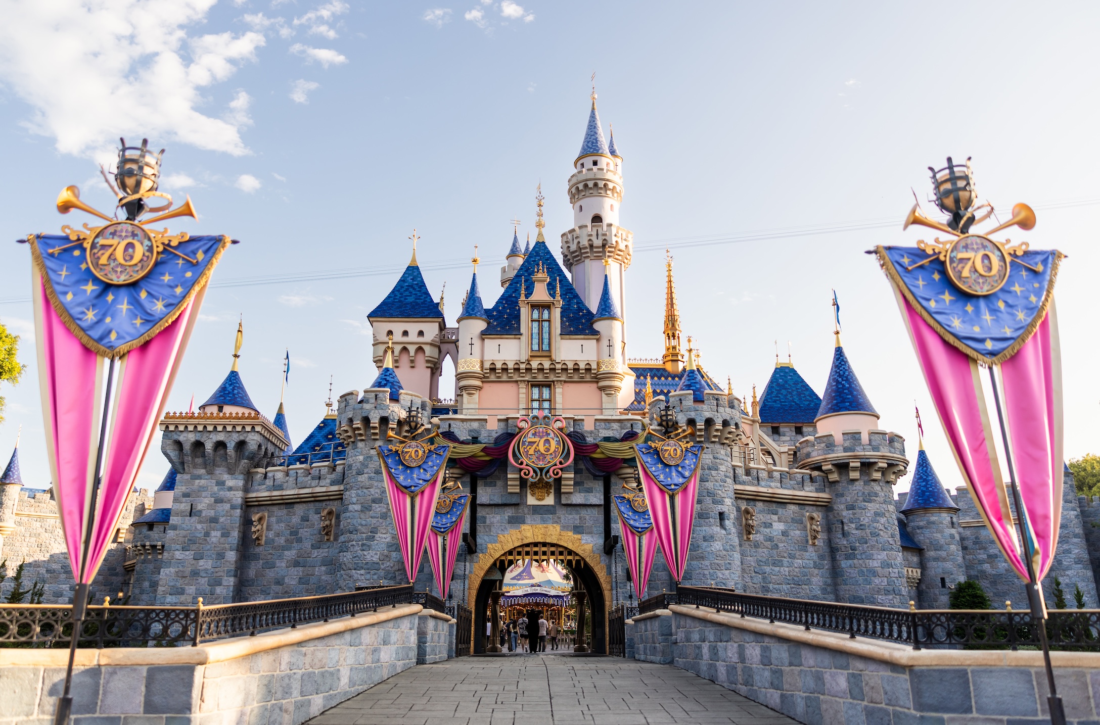 Disneyland castle